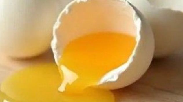 Œuf frais — protéines et vitamine D pour les os et les muscles