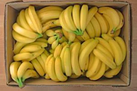 Bananes — énergie et électrolytes pour la mobilité